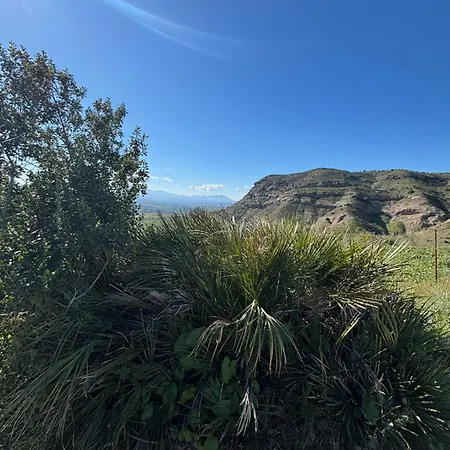 Mount Tatum Apartment Pizarra