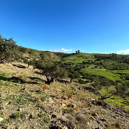 Lejlighed Mount Tatum *