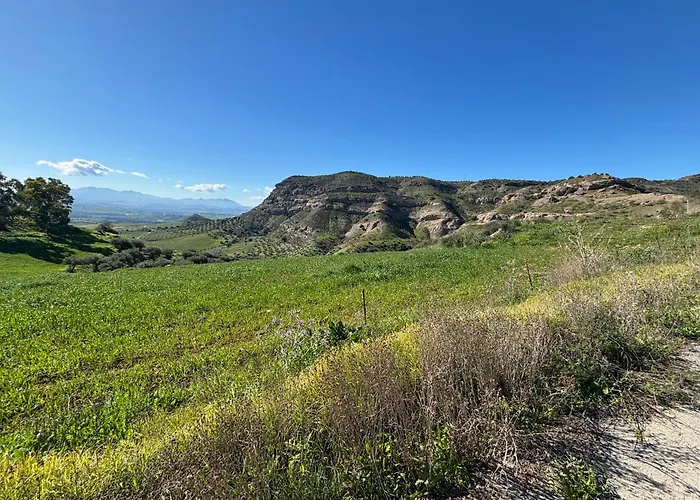 Mount Tatum