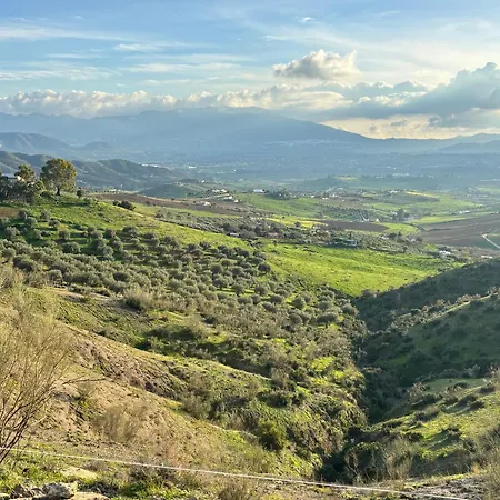 Mount Tatum Pizarra