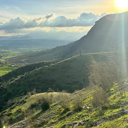Mount Tatum Pizarra