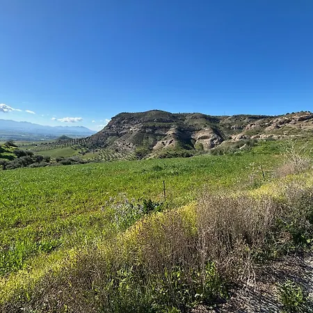Mount Tatum
